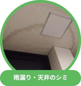 雨漏り・天井のシミ